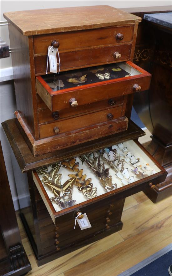 Two table specimen cabinets containing British and exotic butterflies and moths, W.38cm and W.50cm